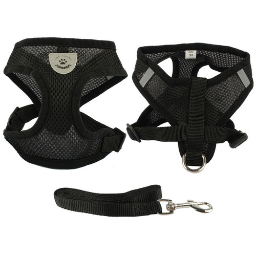 Breathable Mesh Small Dog Pet Harness and Leash